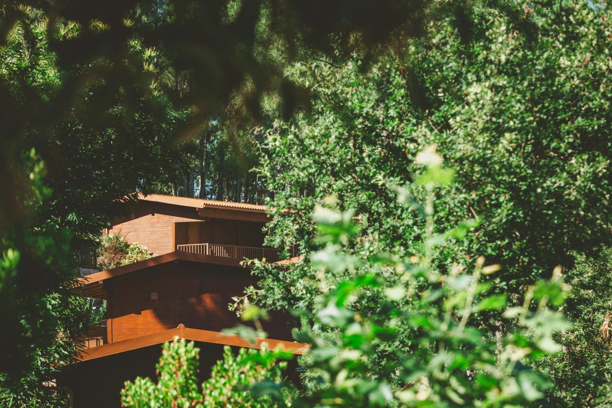 Quinta Do Lameiro Tarouca エクステリア 写真
